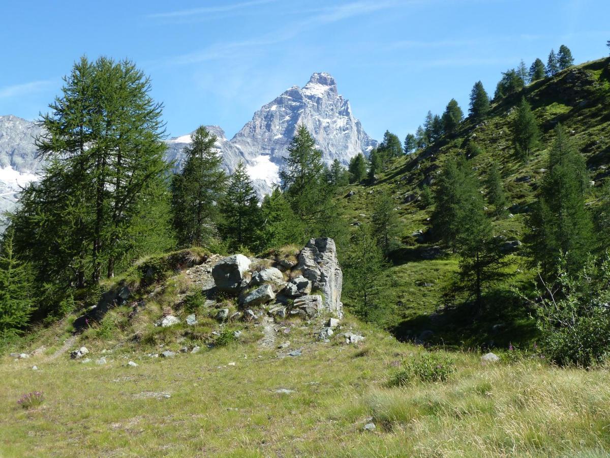 Le Petit Refuge Cervinia Breuil-Cervinia Exterior foto